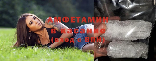 сатива Каменск-Шахтинский