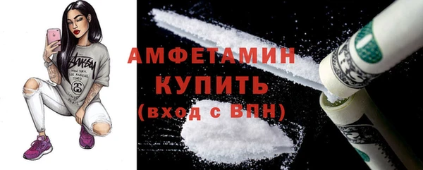 сатива Каменск-Шахтинский