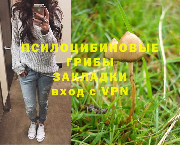 сатива Каменск-Шахтинский