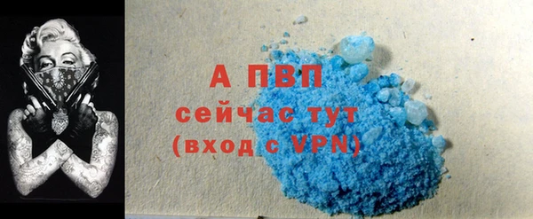 сатива Каменск-Шахтинский