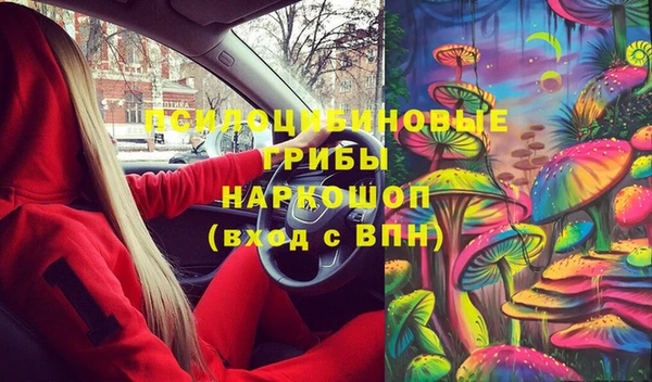 сатива Каменск-Шахтинский