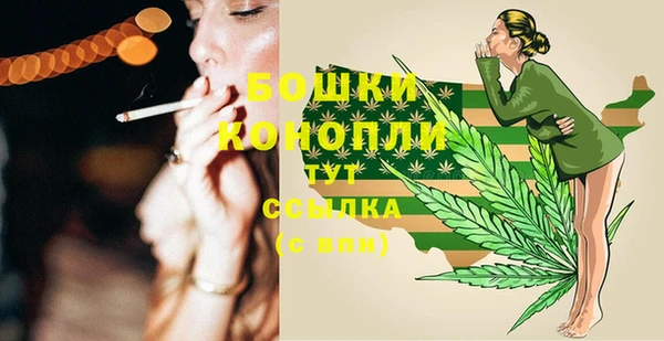 прущая мука Каменка