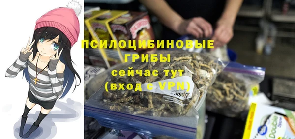 мескалин Каменногорск