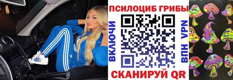 Псилоцибиновые грибы Psilocybine cubensis  Купить где  Дно 